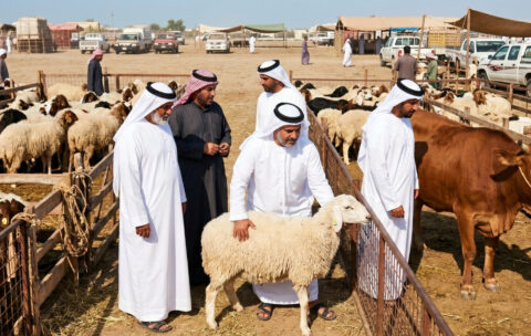 دليل المسلم في الأضحية
